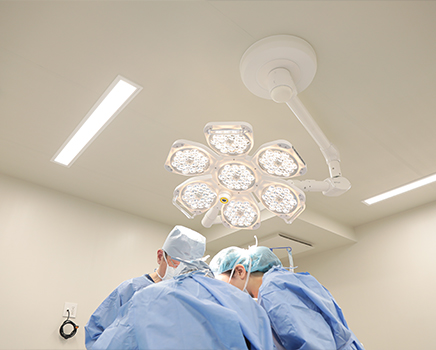 機能と美しさの両立を叶える、トータルな鼻の手術