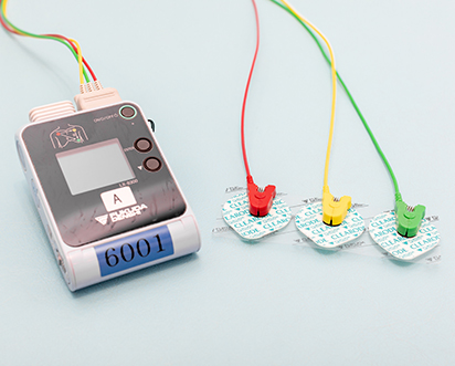 循環器内科医として、肥満が心臓や血管にどのような影響を与えますか？